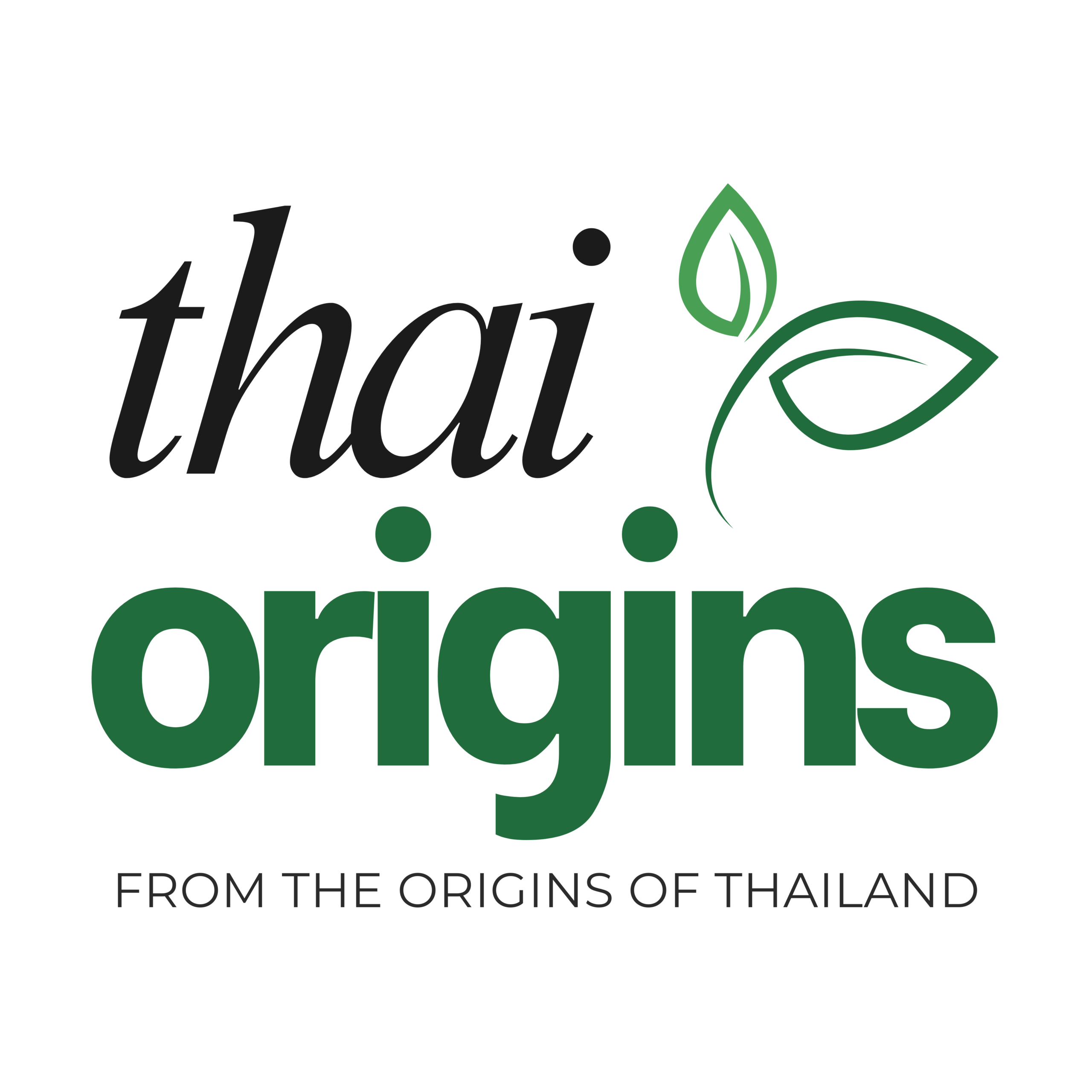thethaiorigins.com